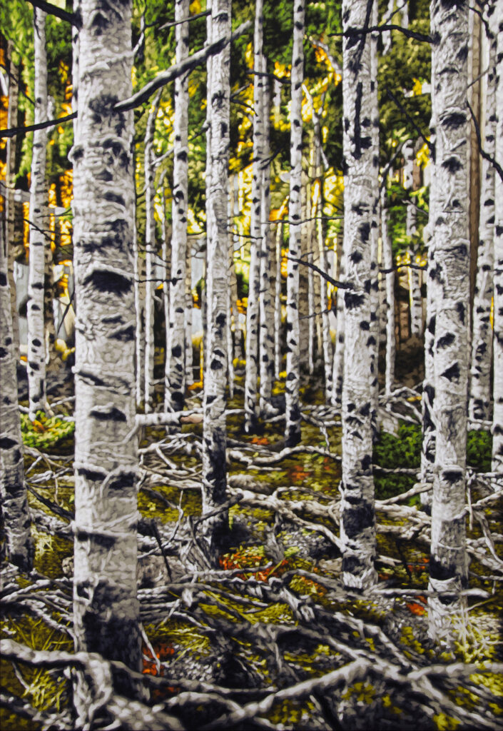 A painting showing Pando, the quaking aspen colony, painted by Philipp Fröhlich.