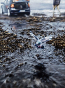 Philipp Fröhlich's painting La Cavale I (335L), 2021, 195 x 145 cm, oil on canvas, 195 x 145 cm