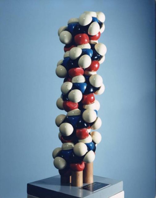 Linus Pauling and Robert Corey’s model of an alpha helix, 1951.