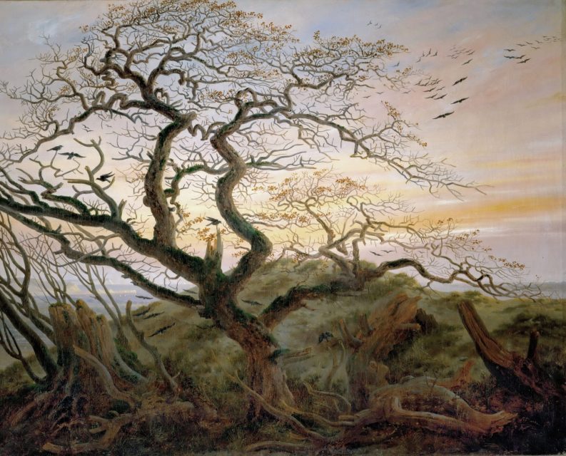 In Friedrich’s Tree of Crows, the twisted oak stands as both ruin and survivor.