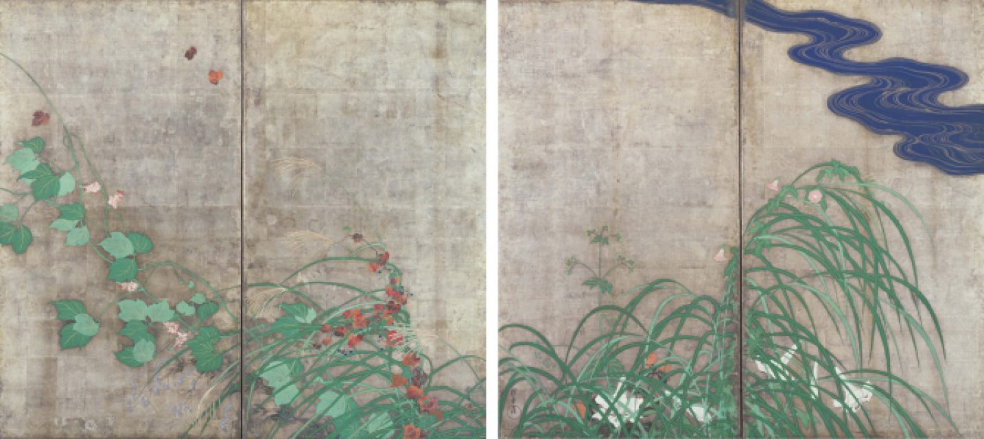 Around 1815, the Rinpa painter Sakai Hōitsu, an admirer of Kōrin, painted Flowering Plants of Summer and Autumn on the reverse, creating one of the rare historical examples of a byōbu painted on both sides.