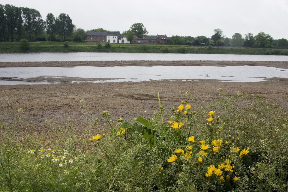 The river Maas forms part of the border between Belgium and the Netherlands.