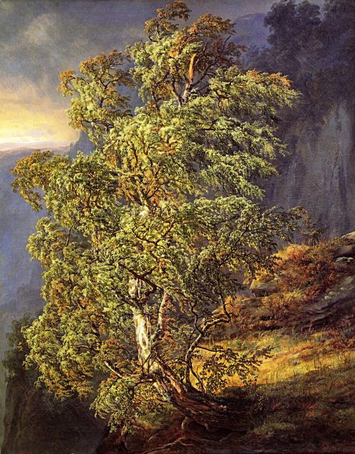 Johan Christian Dahl, Birch Tree in a Storm, 1849.