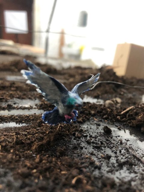 The mockup pigeon built for my painting.