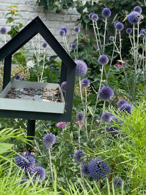 The bird feeder in our little garden.