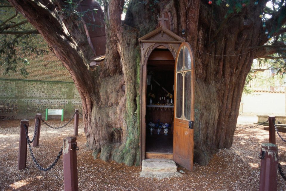A chapel built into the hollow trunk of a yew tree in La Haye-de-Routot.