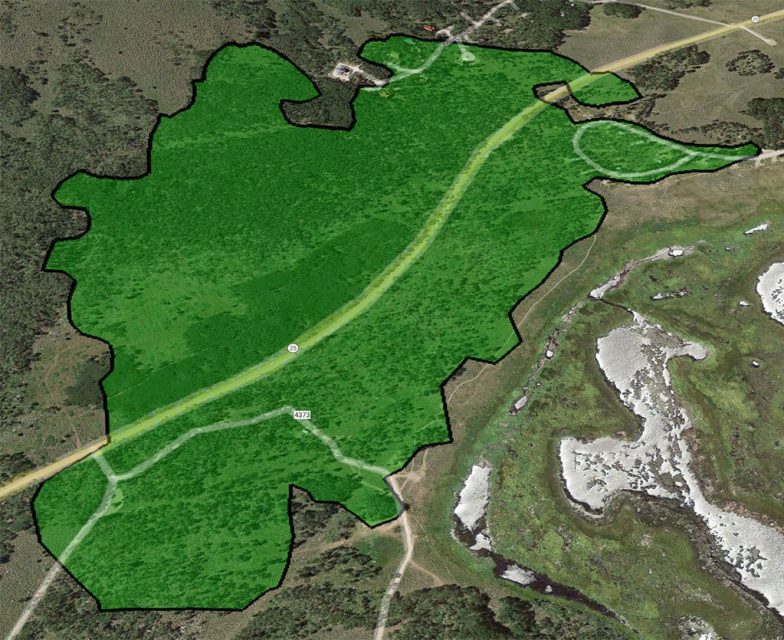 A map from Friends of Pando outlining the full extent of the aspen colony.