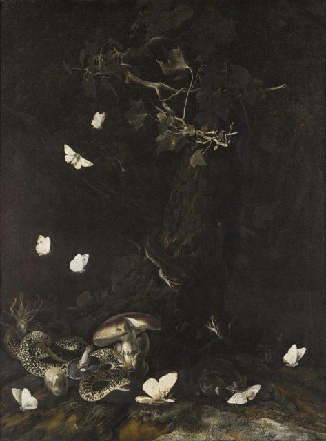 Otto Marseus van Schrieck, forest-floor scene with moths among reptiles and plants.