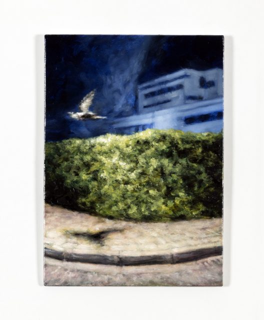 Another oil sketch based on the hedge.