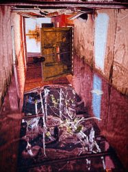 Philipp Fröhlich's painting (049L), 2008, tempera on canvas, 280 x 210cm