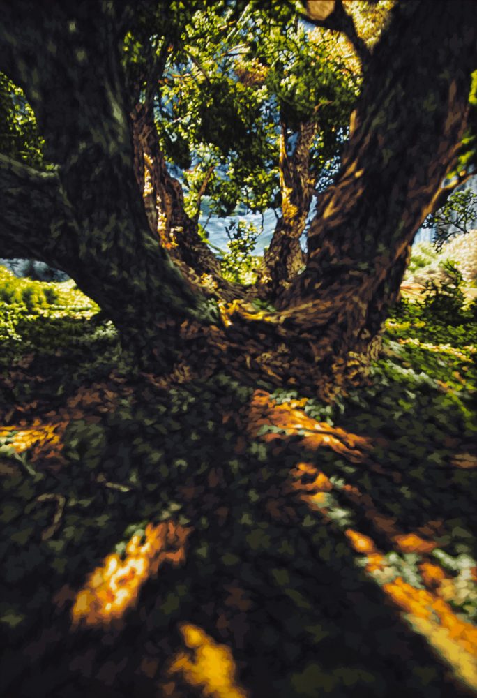 PPhilipp Fröhlich's tempera painting from 2015, showing a yew tree.