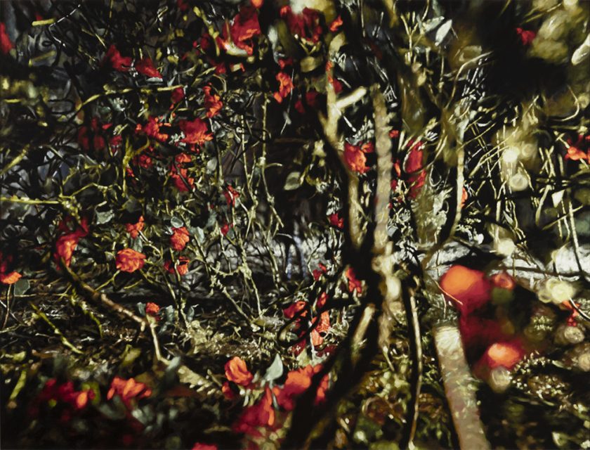 Dornröschen [Sleeping Beauty], 2017, oil on canvas, 110 × 145 cm.