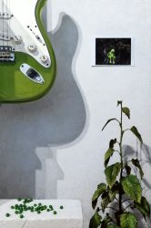 Philipp Fröhlich's oil on canvas painting Bein' Green from 2025, showing a guitar, Kermit the Frog , a young birch and peas.