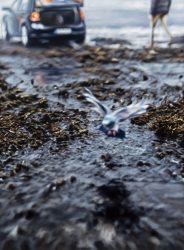 Philipp Fröhlich's painting La Cavale I (335L), 2021, 195 x 145 cm, oil on canvas, 195 x 145 cm