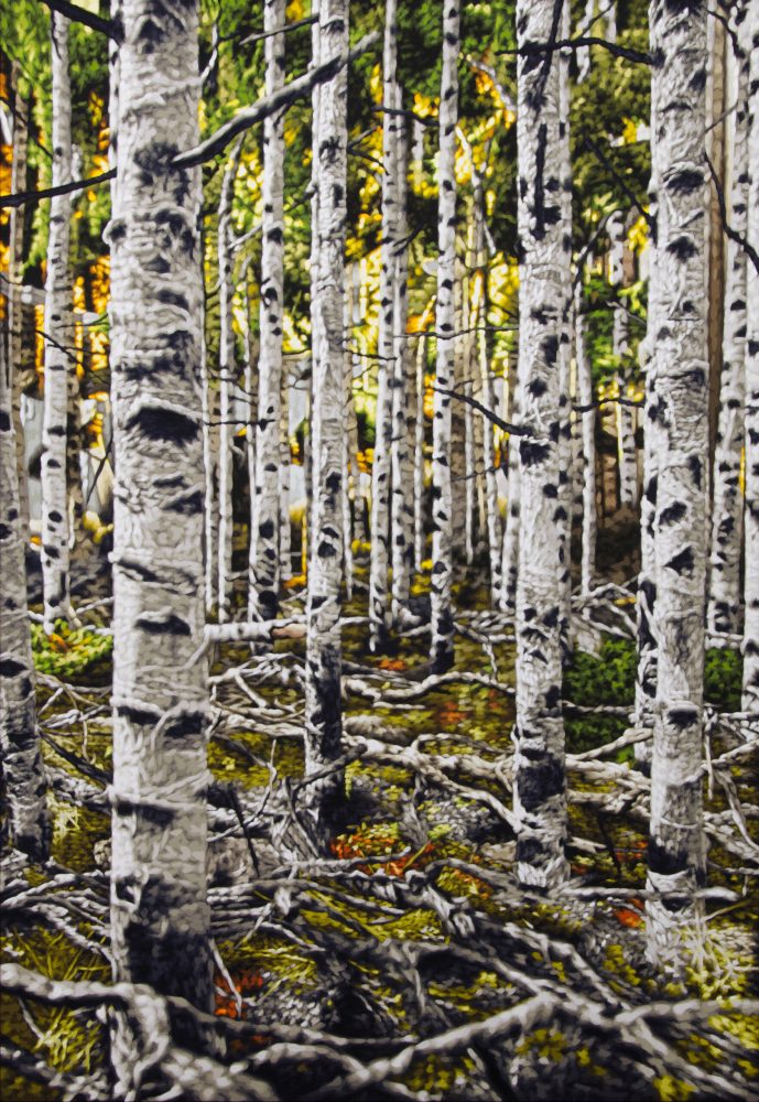 A painting showing Pando, the quaking aspen colony, painted by Philipp Fröhlich.