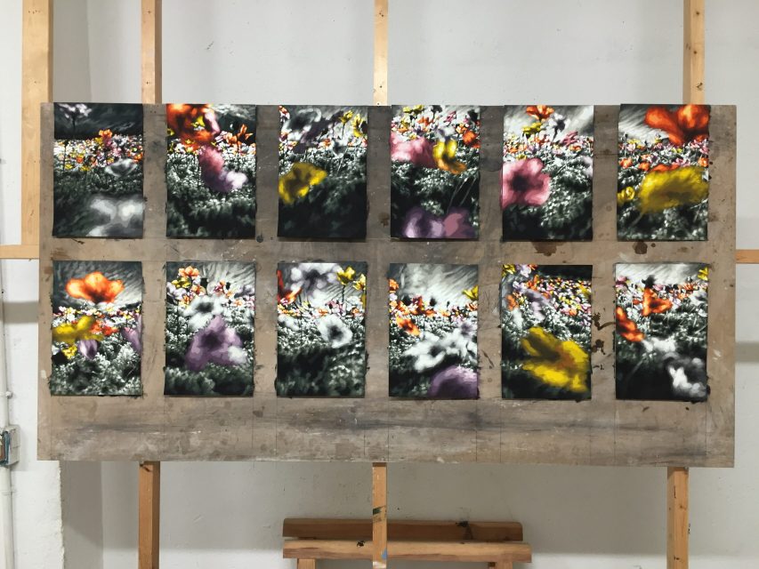 A set of twelve smaller pieces on paper, focusing on poppies in the imagined landscape.