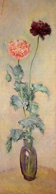 Monet’s early poppy painting emphasizes the peculiar morphology of the plant: bowed buds, unstable stems and chaotic leaves.