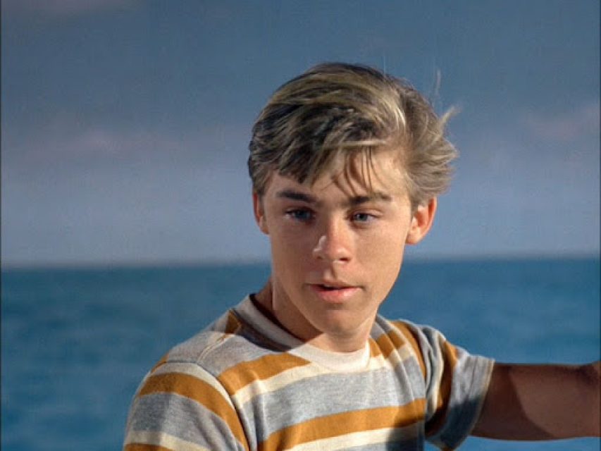 Sandy from the television series Flipper.