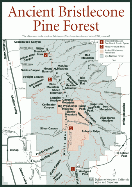 Map of the Ancient Bristlecone Pine Forest in California’s White Mountains, home to Methuselah.