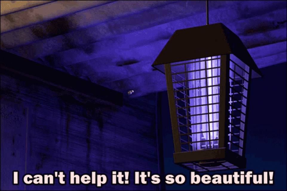 A Bug’s Life, Pixar Animation Studios.
“Don’t look into the light".