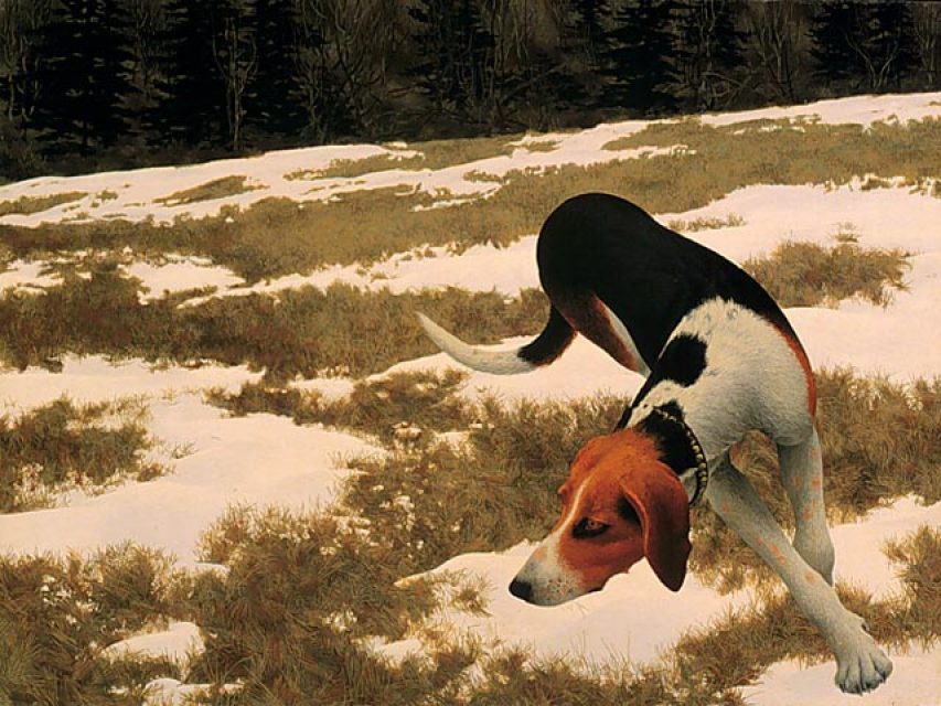 Alex Colville, Hound in Field, 1958.